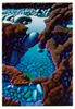 A limited edition fine art print of rock pools and lava flow by Michael Smithers, available at The Little Gallery Tairua